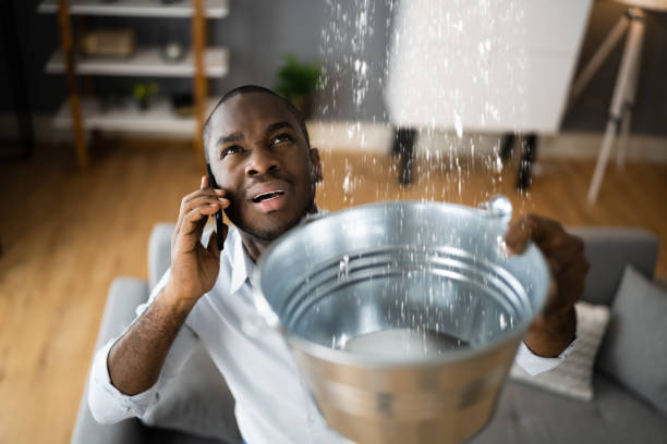 Best Water damage restoration near me  in Fraser, CO