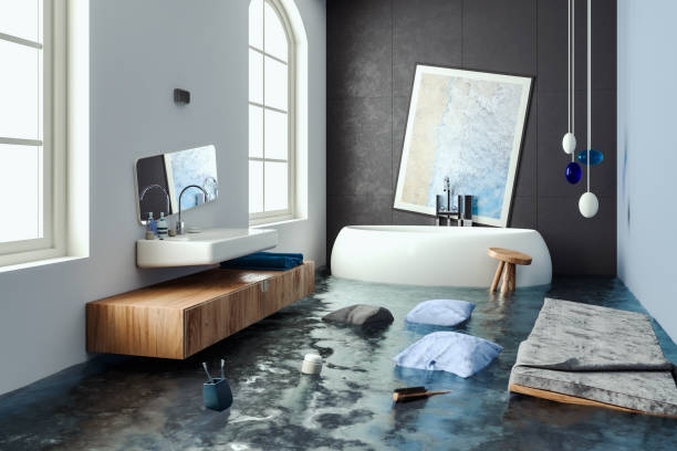 Best Professional water damage repair  in Fraser, CO