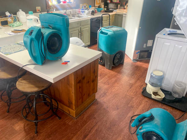 Best Water damage cleanup near me  in Fraser, CO