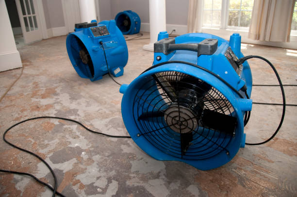 Best 24/7 water damage repair  in Fraser, CO