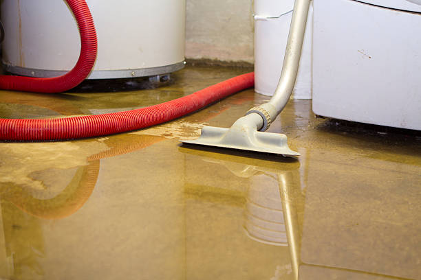 Water damage restoration experts in CO