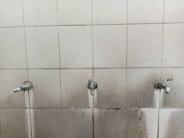 Best Local water damage restoration  in Fraser, CO