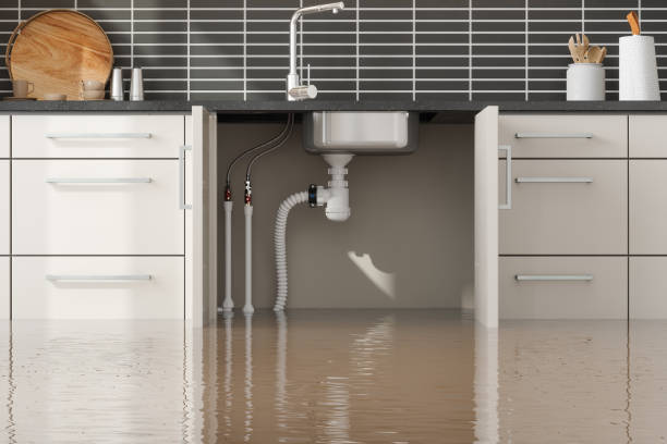 Best Emergency water damage restoration  in Fraser, CO