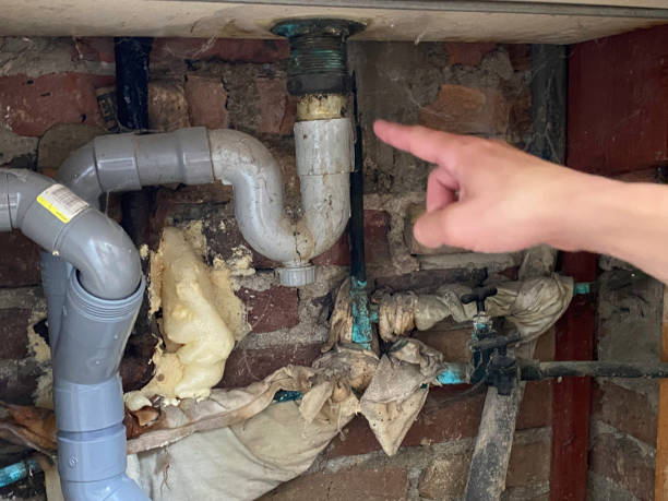 Best Sewage cleanup and water damage restoration  in Fraser, CO