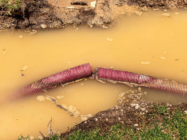 Best Emergency water damage restoration  in Fraser, CO
